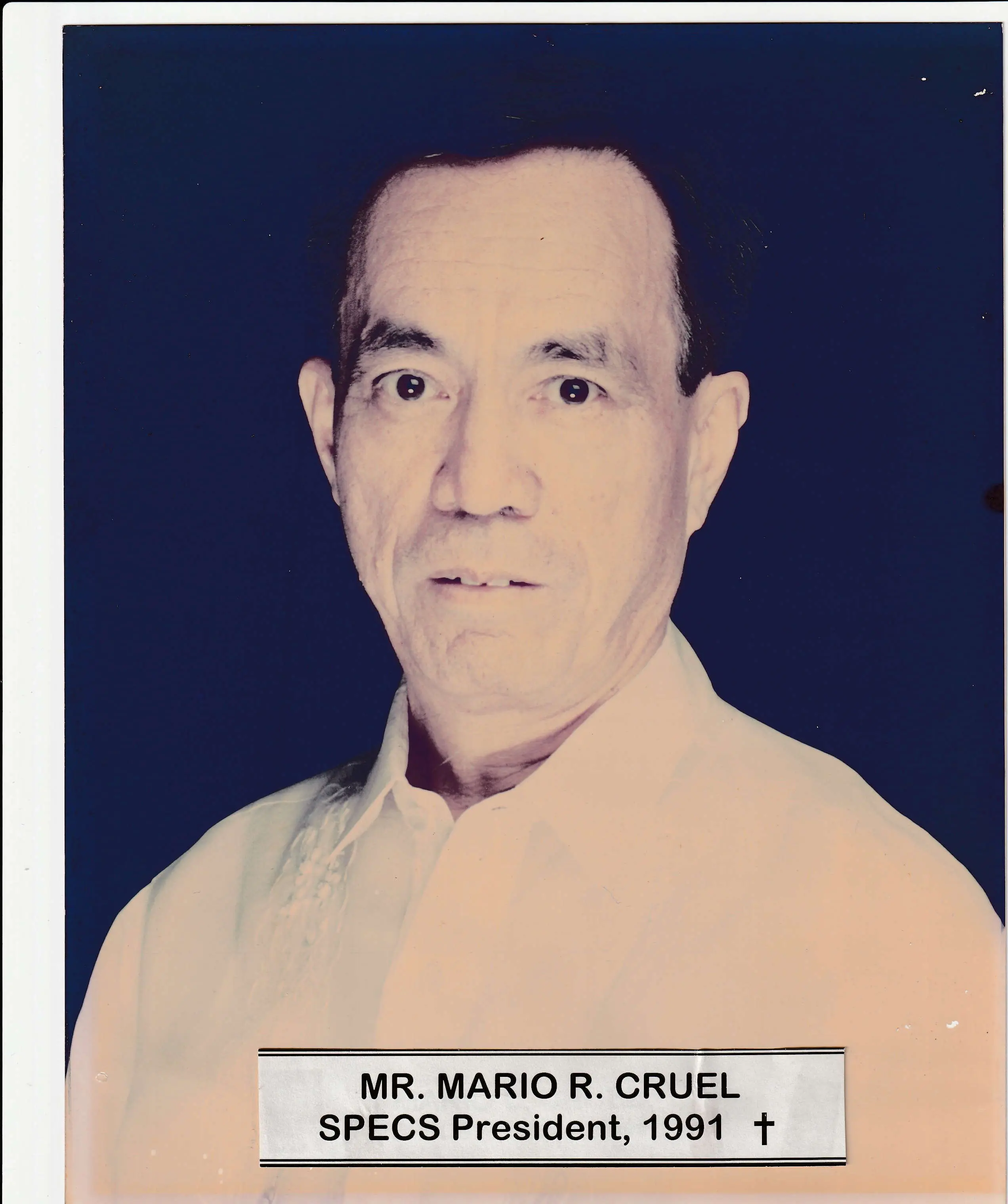 Engr. Mario R. Cruel