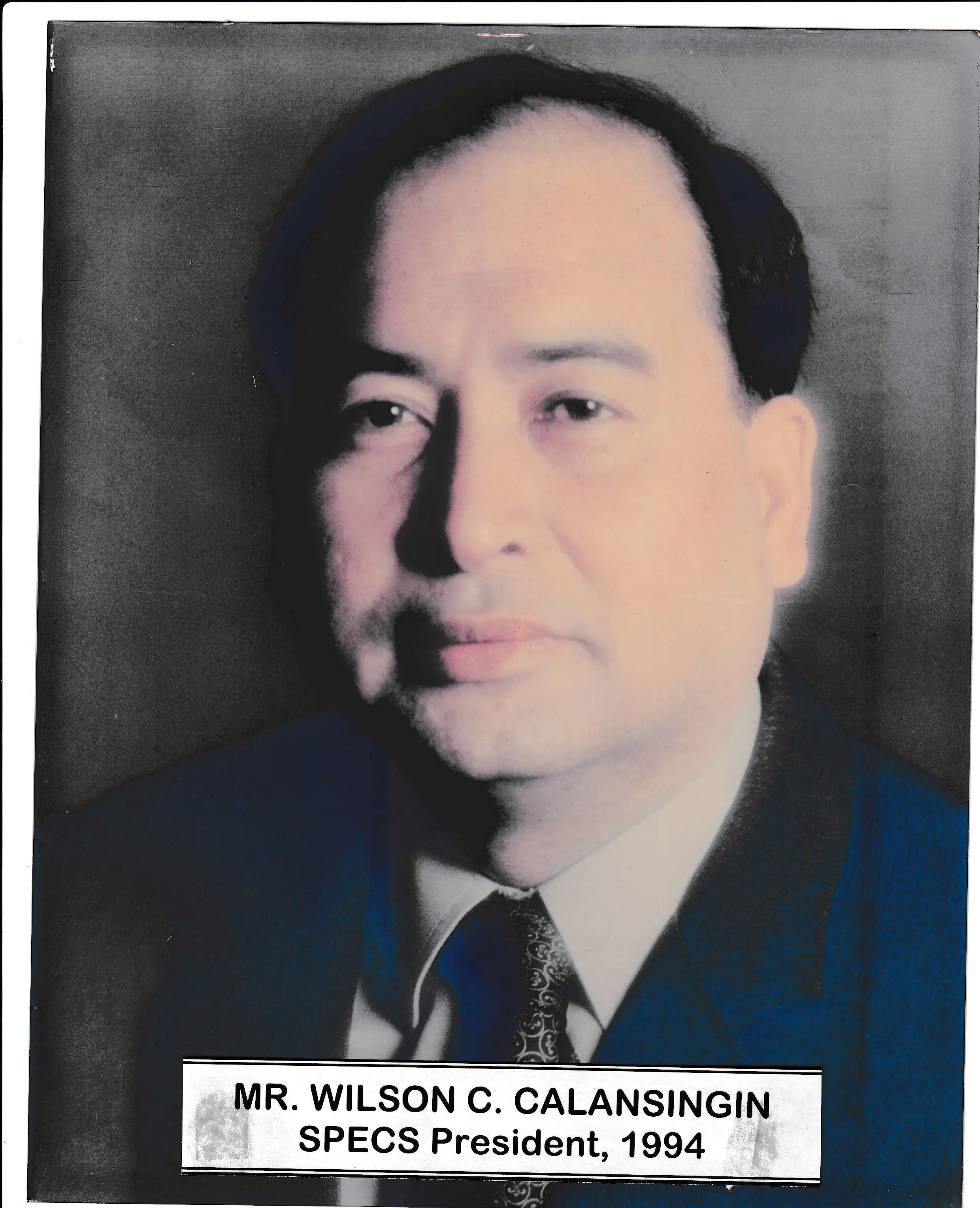 Engr. Wilson C. Calansingin