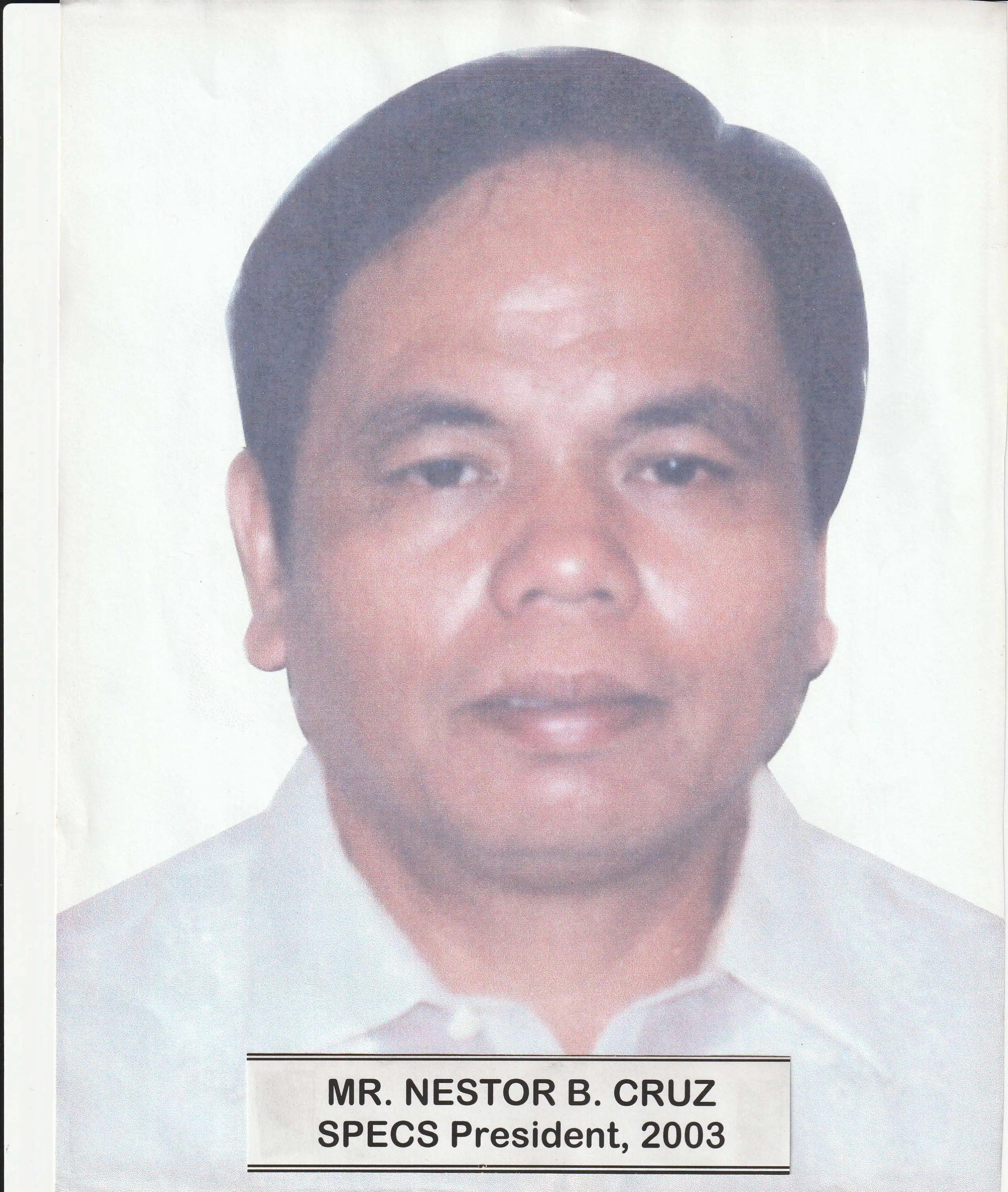 Engr. Nestor B. Cruz